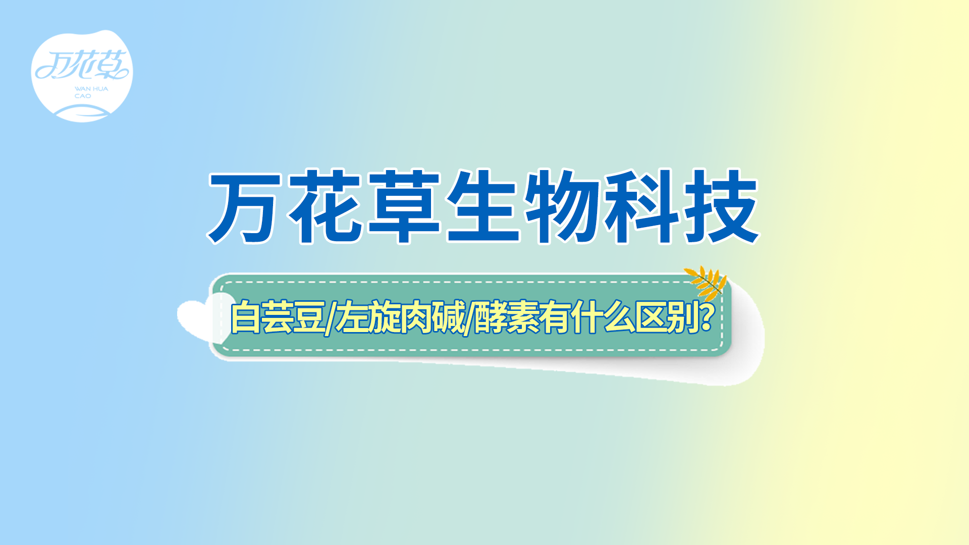 白蕓豆、左旋肉堿、嗨吃酵素有什么區(qū)別？